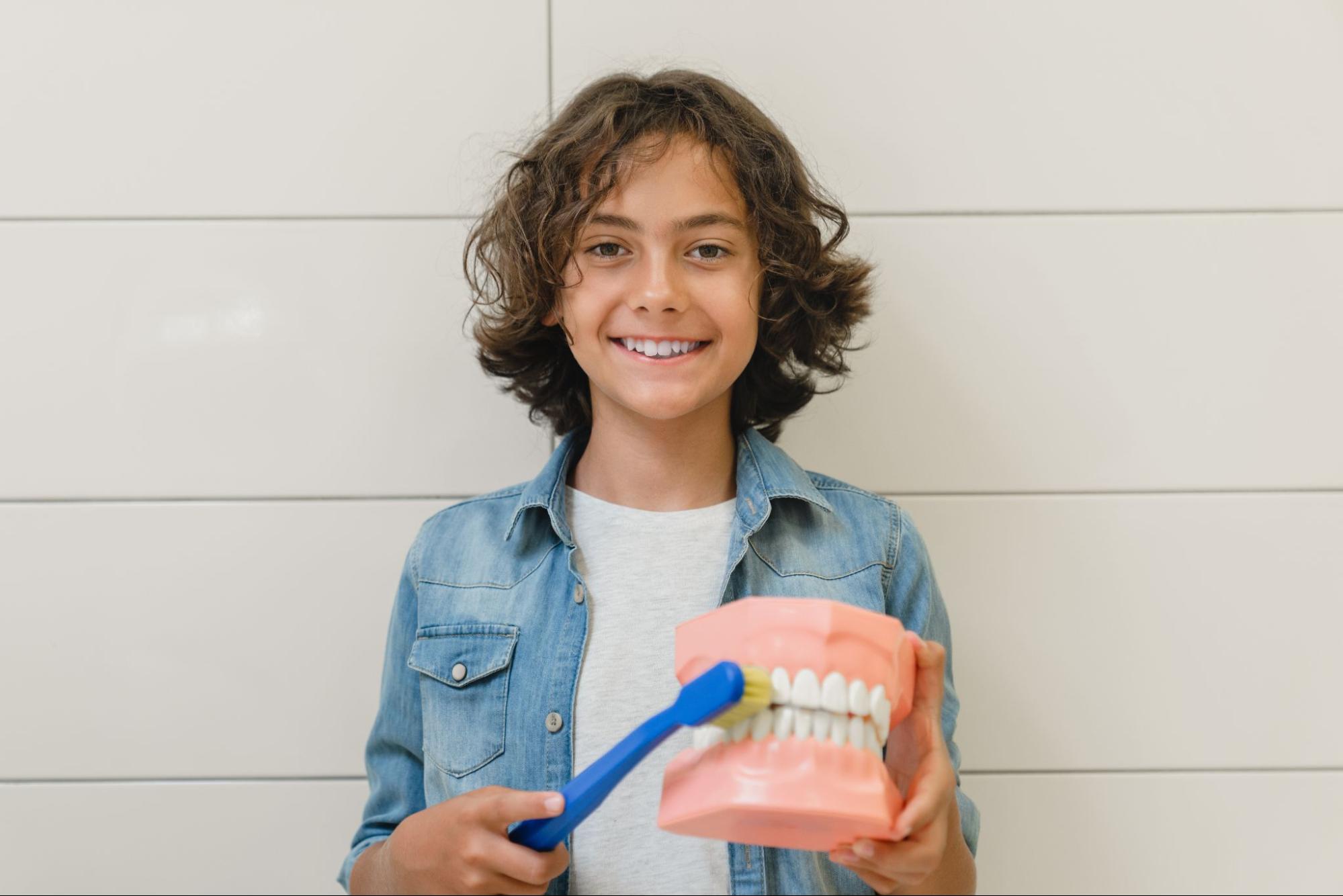 Child brushing a model of teeth and smiling.