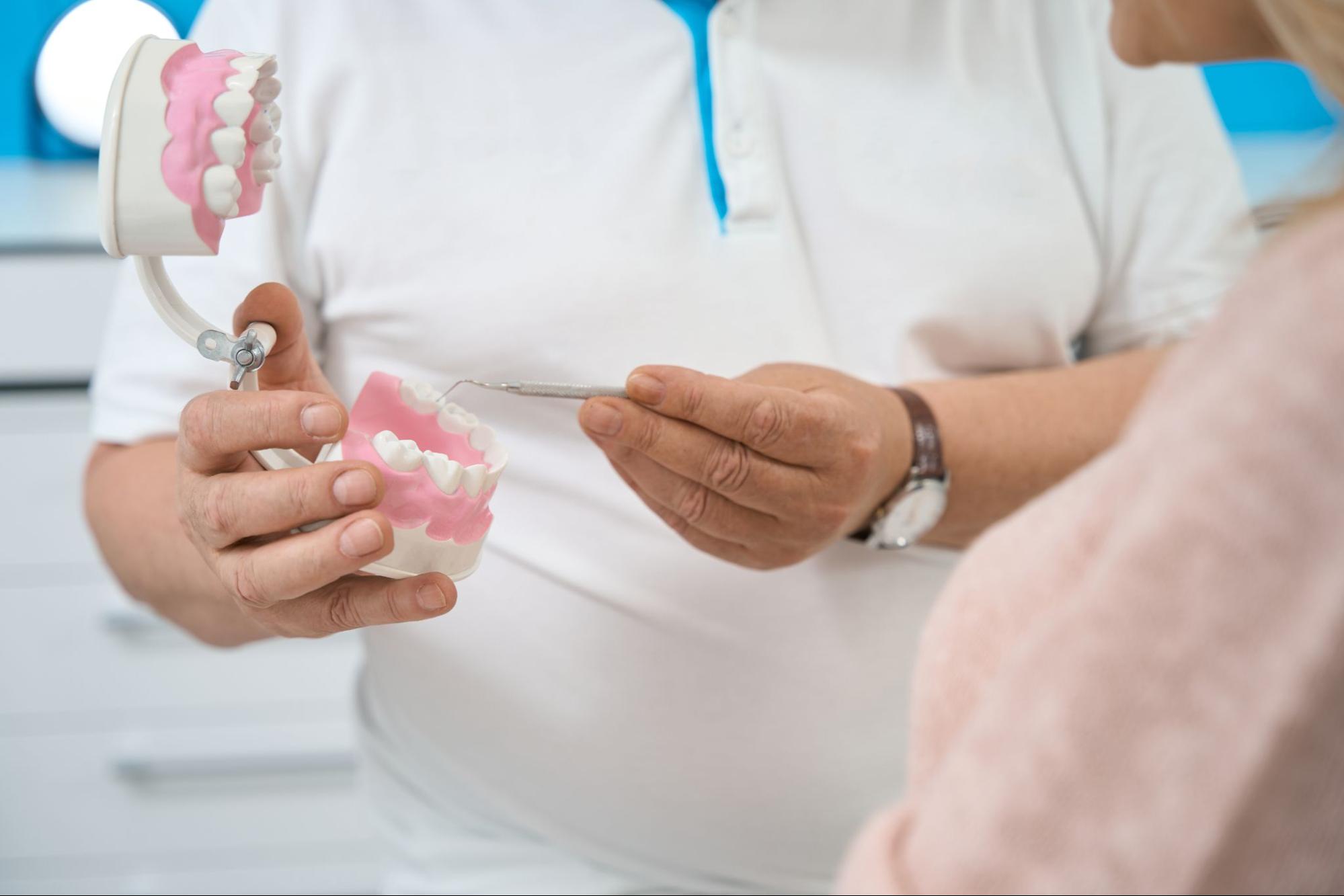 A dentist holds a teeth model, showing it to a partially visible female patient.