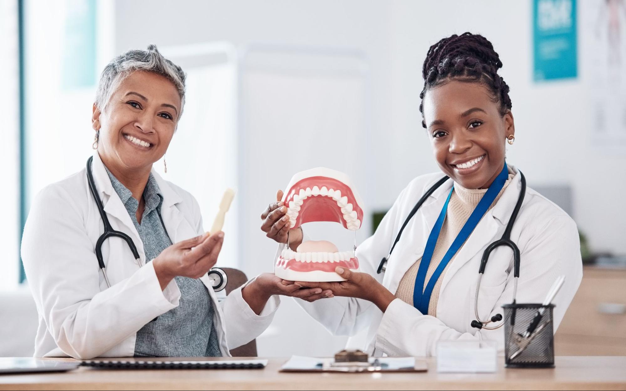Two female dentists hold a huge dental model, demonstrating proper dental care techniques to promote better oral health.
