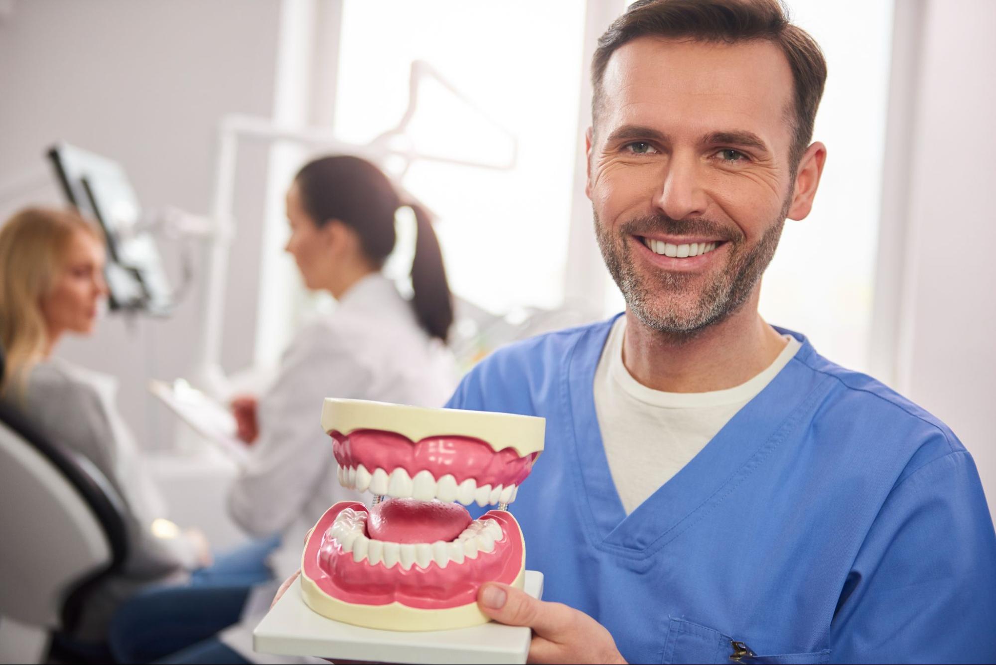 Dentist holding a model of teeth with a patient in the background. 
