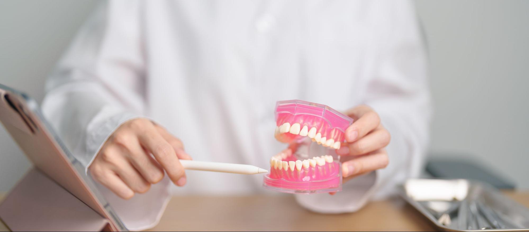 An anonymous dentist holding a tooth anatomy model, surrounded by dental tools and a tablet, demonstrates techniques for effectively cleaning plaque off teeth.
