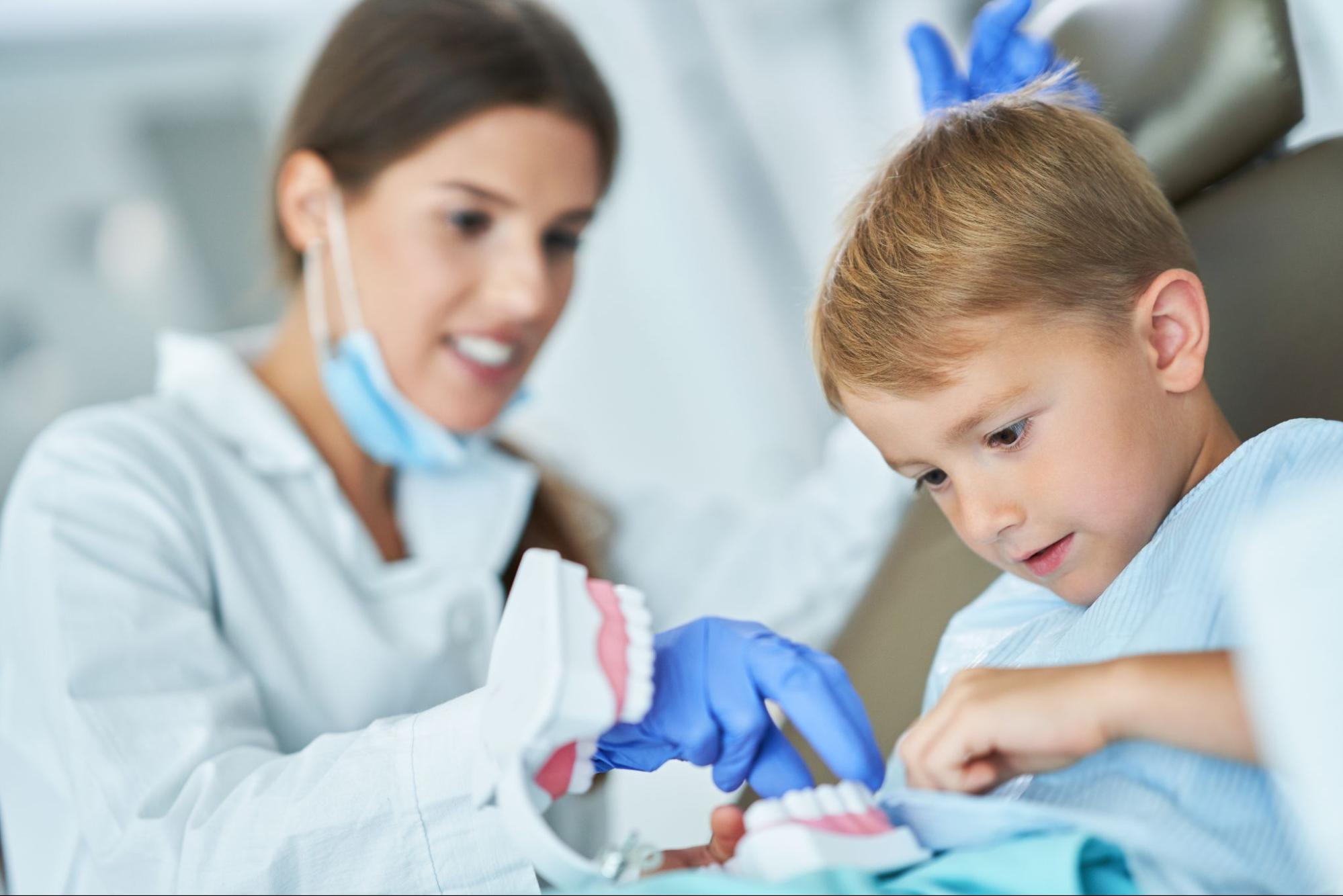 The female dentist uses a dental model to explain oral health practices to an attentive young boy.